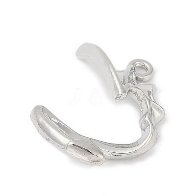 Alloy Pendants PALLOY-R151-14P-1