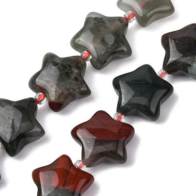 Natural Indian Agate Beads Strands G-K359-E07-1