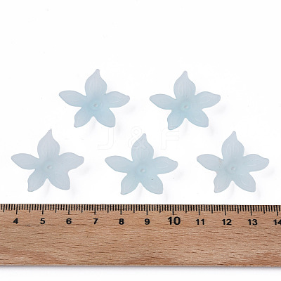 Transparent Acrylic Beads MACR-S373-127-D02-1