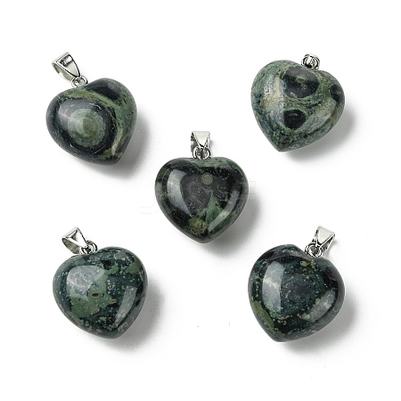 Natural Kambaba Jasper Pendants G-F820-10A-09-1