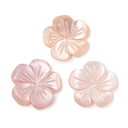 Natural Pink Shell Carved Beads SSHEL-I026-12C-03-1