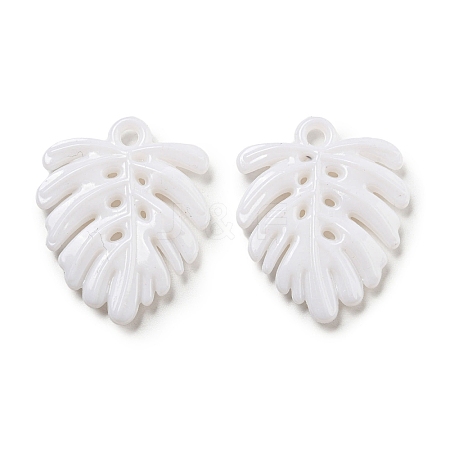 Opaque Acrylic Pendants SACR-L007-039D-1