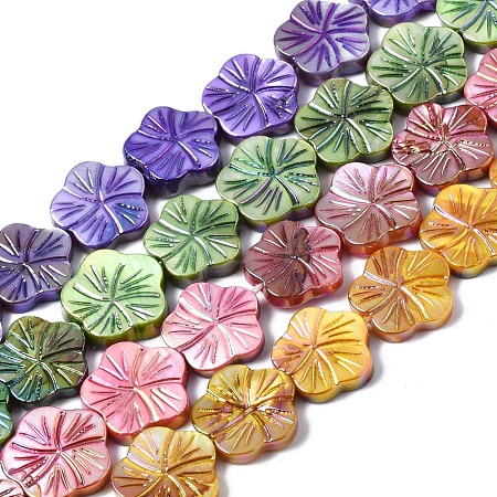 Natural Freshwater Shell Beads Strands SHEL-Q025-002-1