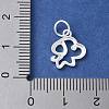 925 Sterling Silver Chinese Zodiac Outline Charms STER-P066-02S-11-3