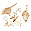 DIY Natural Shell Dangle Earring Making Kits DIY-TA0009-56-2