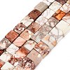 Natural Imperial Jasper Beads G-Q606-43A-08-2