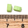 2-Hole Baking Paint Glass Seed Beads SEED-S023-17B-44-3