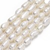 Natural Cultured Freshwater Pearl Beads Strands PEAR-J006-18B-01A-1