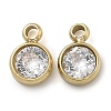 Ion Plating(IP) 304 Stainless Steel Micro Pave Cubic Zirconia Pendants STAS-B075-12G-1