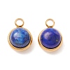 Natural Lapis Lazuli Charms G-K325-01G-02-2
