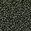 MIYUKI Round Rocailles Beads X-SEED-G007-RR0459-3