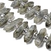 Natural Labradorite Double Terminated Point Beads Strands G-H069-B04-01-4