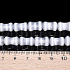 Dyed Natural Selenite Beads Strands G-T138-234A-4