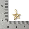 Brass Micro Pave Cubic Zirconia Charms LS-KK-M326-20B-G-3