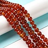 Natural Carnelian Beads Strands G-G390-8mm-03-3