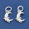 925 Sterling Silver Moon with Bowknot Charms STER-P071-05S-2