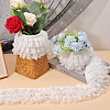 3-Layer Nylon Pleated Lace Trims OCOR-WH0082-40-6