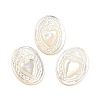 Natural Sea Shell Cabochons SHEL-D079-19-1