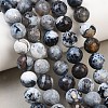 Natural Fire Crackle Agate Bead Strands G-K166-07F-10mm-07-1