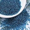 MIYUKI Round Rocailles Beads SEED-G007-RR0025-1