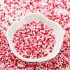 Baking Paint Glass Seed Beads X-SEED-S042-05B-46-2