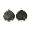 Natural Labradorite Pendants G-E526-05A-1