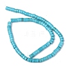 Natural Howlite Beads Strands G-Z006-C10-2