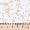 TOHO Round Seed Beads SEED-TR08-0751-3