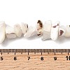 Natural Trochid Shell/Trochus Shell Beads Strands SHEL-B003-02J-4