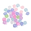 Frosted Transparent Acrylic Beads FACR-C001-01E-1