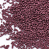 Plated Glass Seed Beads SEED-S019-01A-01-2