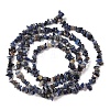Natural Sodalite Chips Beads Strands F024-8