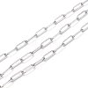 Tarnish Resistant 304 Stainless Steel Paperclip Chains CHS-D033-06P-02-1