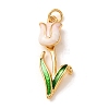Brass with Enamel Pendants KK-CBA2F11-06G-04-1