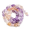 Natural Amethyst & Citrine Beads Strands G-L610-B06-01-3