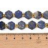 Natural Lapis Lazuli Beads Strands G-F833-B11-01-4