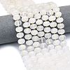 Natural Quartz Crystal Beads Strands G-P573-B09-01-1