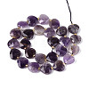 Natural Amethyst Beads Strands G-P592-B10-01-3