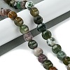 Natural Indian Agate Beads Strands G-H023-A06-01-2