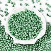 Baking Paint Pearlized Glass Seed Beads SEED-T008-03R-2