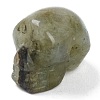 Natural Labradorite Beads G-B003-08-2