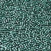 11/0 Grade A Glass Seed Beads SEED-S030-1209-2