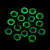Luminous Eye Printed Glass Cabochons GGLA-WHC0002-10mm-4