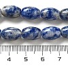 Natural Blue Spot Jasper Beads Strands G-B106-B29-01-5