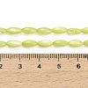 Natural Freshwater Shell Beads Strands SHEL-C010-01D-4