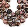 Natural Rhodonite Beads Strands G-C249-A18-16mm-5