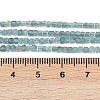 Natural Apatite Beads Strands G-L628-D05-2x2mm-5