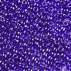 TOHO Round Seed Beads SEED-JPTR08-0116-2