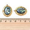 Natural Paua Shell Pendants STAS-G397-24G-02-3