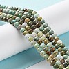 Natural HuBei Turquoise Beads Strands G-M411-A01-01-4
